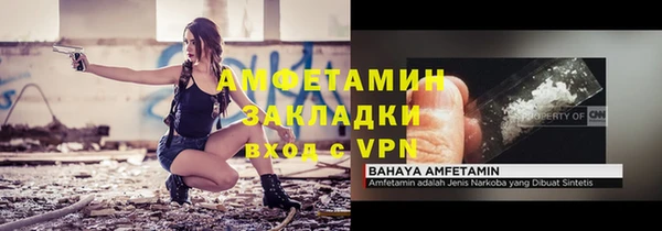 прущие крисы Бородино
