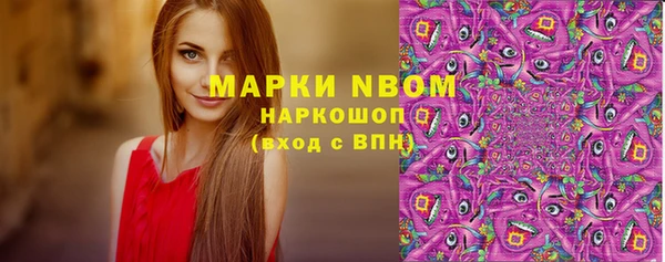 СК Бронницы