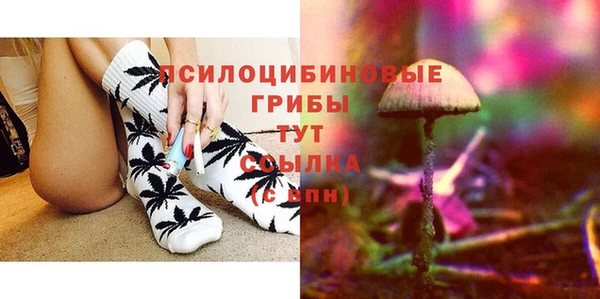 прущие крисы Бородино