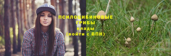 СК Бронницы