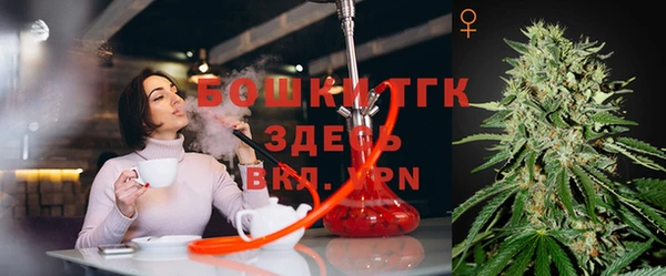 прущие крисы Бородино