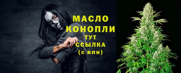 прущие крисы Бородино
